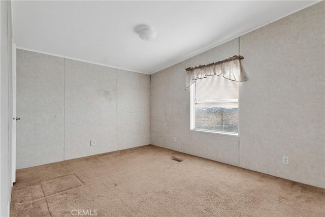 spare room featuring light colored carpet