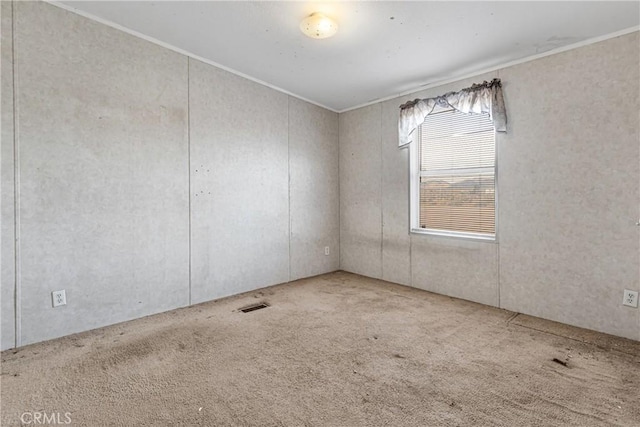 spare room with carpet and ornamental molding