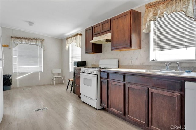 kitchen with crown molding, light wood-type flooring, white appliances, and sink