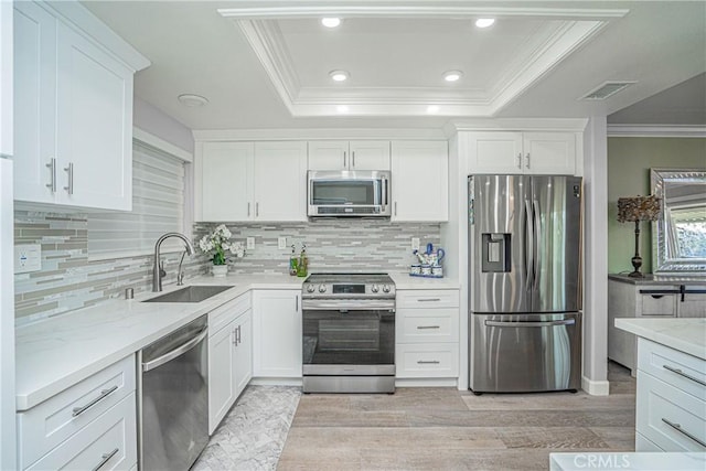 kitchen with white cabinetry, a raised ceiling, and stainless steel appliances