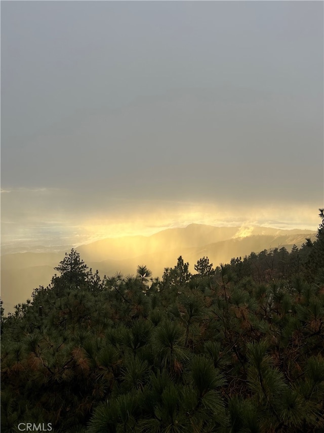 view of nature at dusk