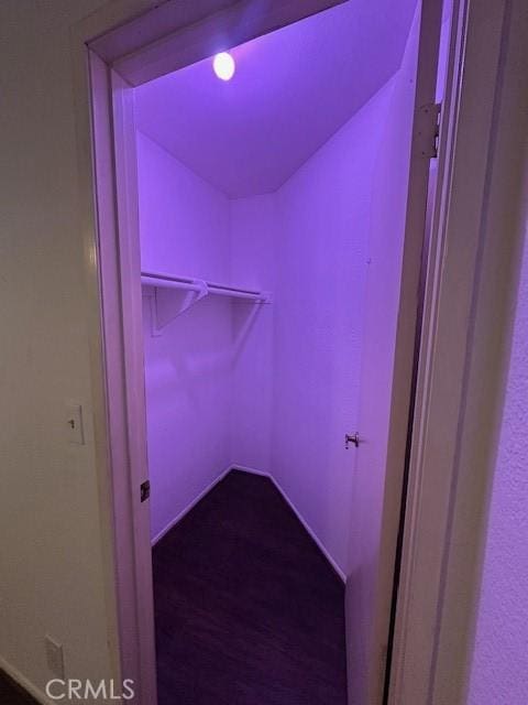 walk in closet with wood-type flooring