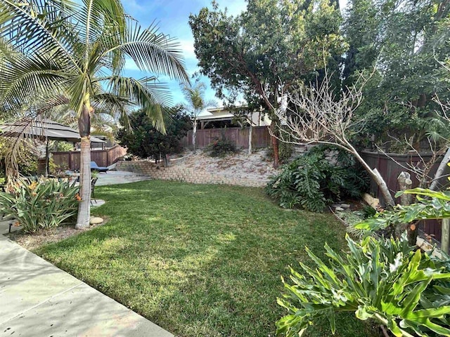 view of yard featuring a patio