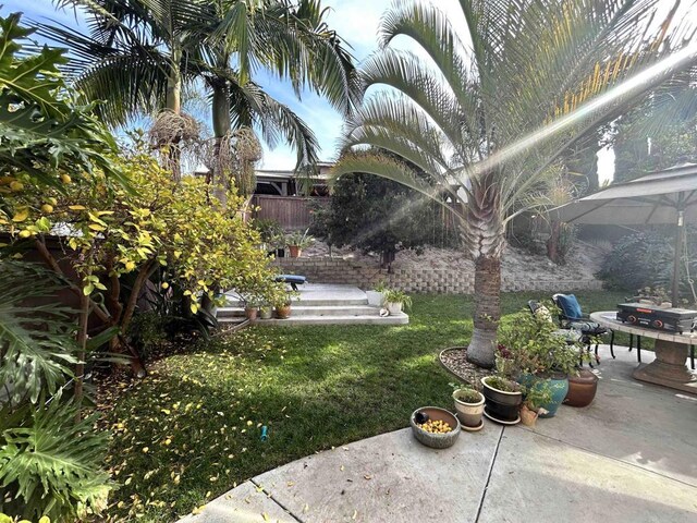 view of yard featuring a patio area