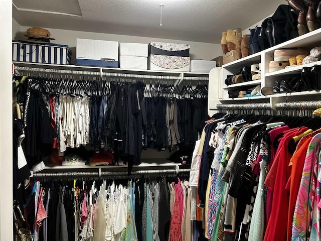 view of spacious closet