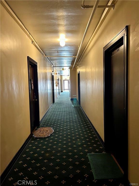 hall featuring carpet floors