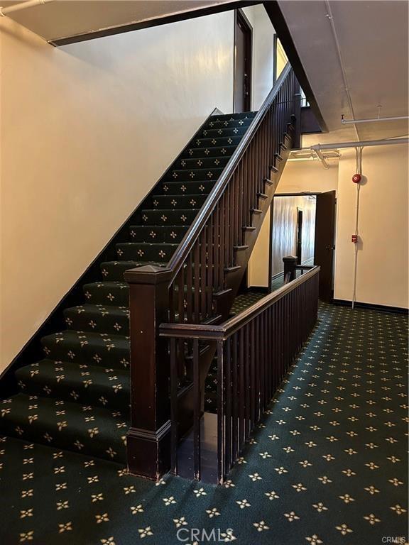 staircase featuring carpet flooring