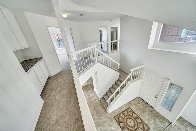 stairs featuring carpet floors