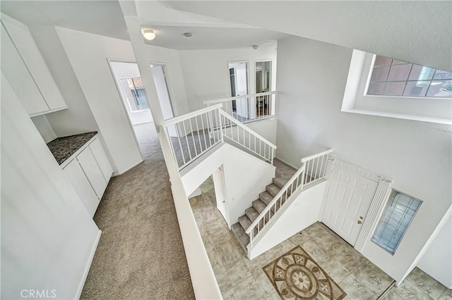 staircase featuring carpet flooring