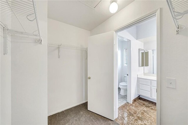 spacious closet featuring light carpet