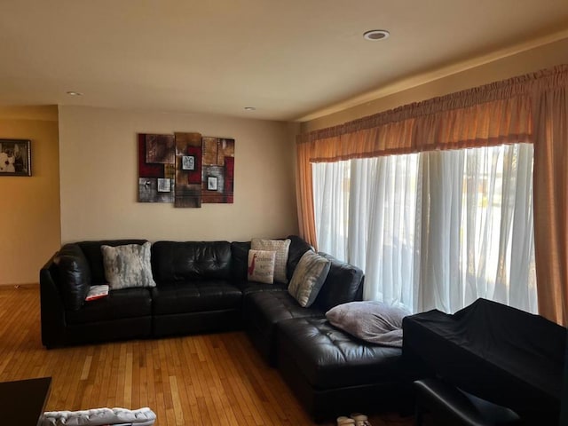 living room featuring light hardwood / wood-style floors