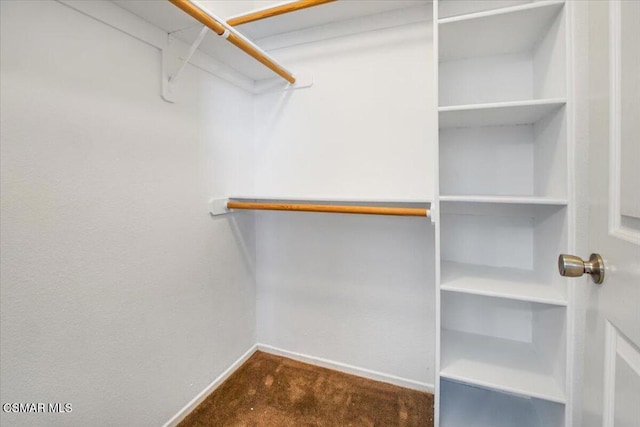 spacious closet with carpet