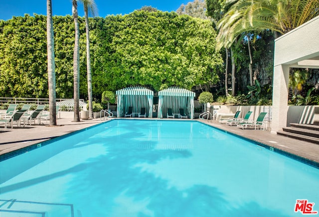 view of pool featuring a patio