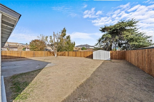 view of yard with a patio and a storage shed