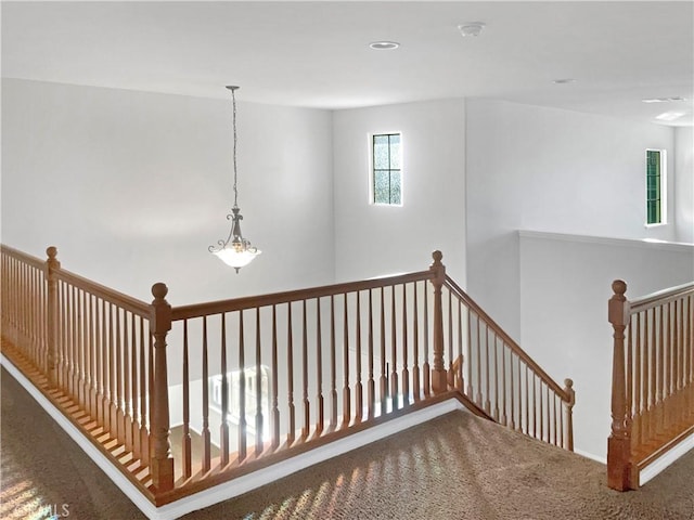 stairway with carpet floors