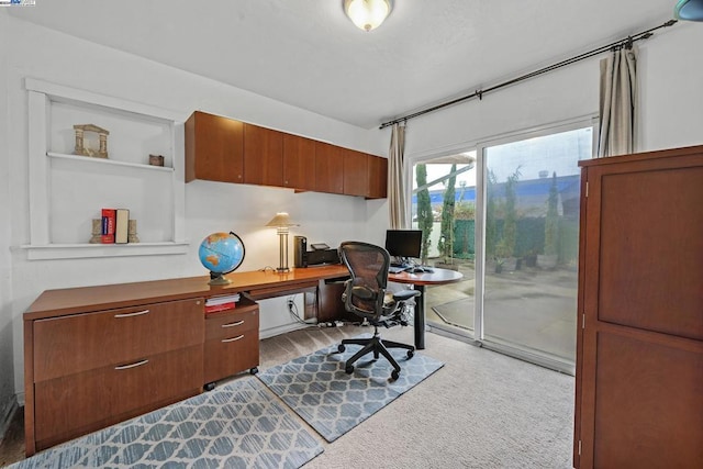 office space featuring light hardwood / wood-style flooring