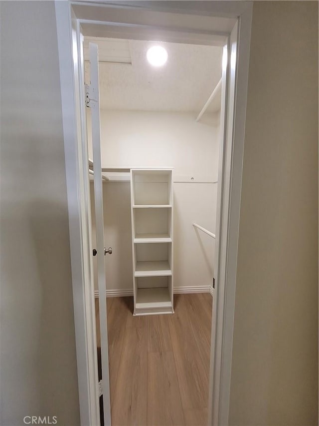 spacious closet featuring light hardwood / wood-style flooring