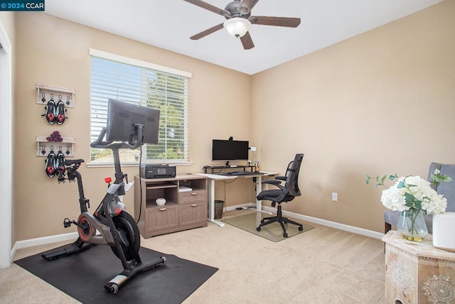 carpeted office featuring ceiling fan