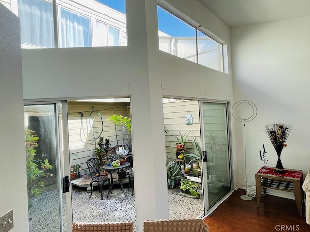 doorway to outside with dark hardwood / wood-style flooring and a high ceiling