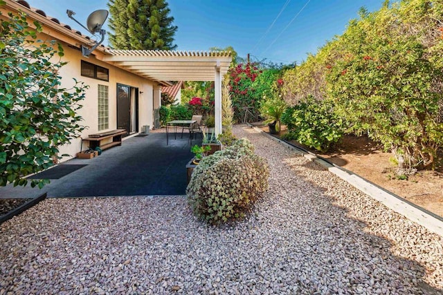 view of yard featuring a patio area and a pergola