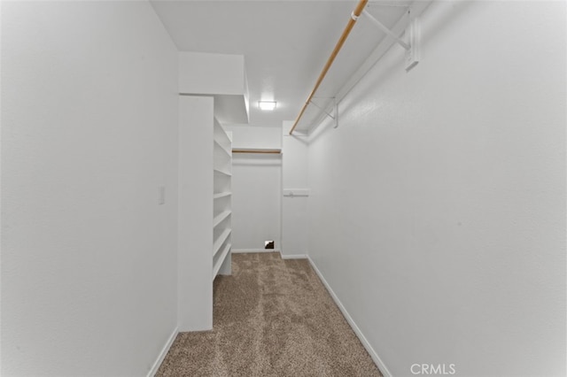 spacious closet with light carpet