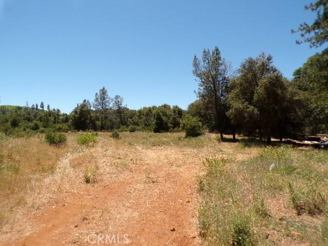 view of local wilderness featuring a rural view