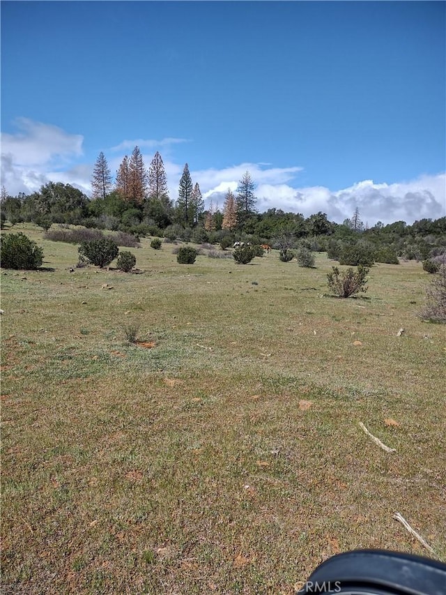 view of nature featuring a rural view