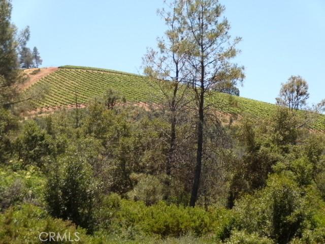 view of local wilderness with a rural view