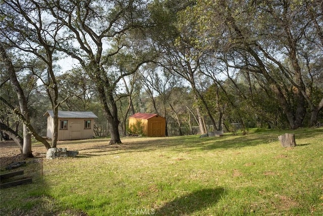 view of yard featuring a storage shed