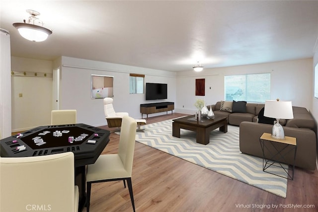 living room featuring wood-type flooring