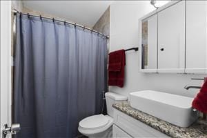 bathroom with vanity, toilet, and curtained shower