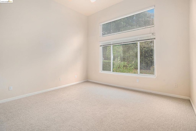 spare room featuring carpet flooring