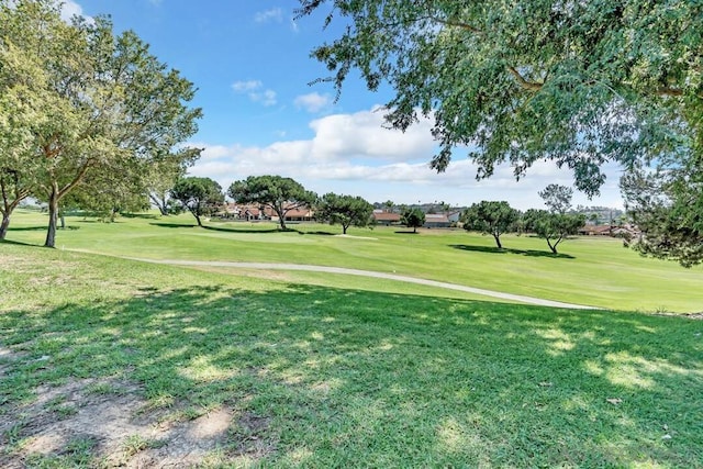 view of home's community featuring a yard