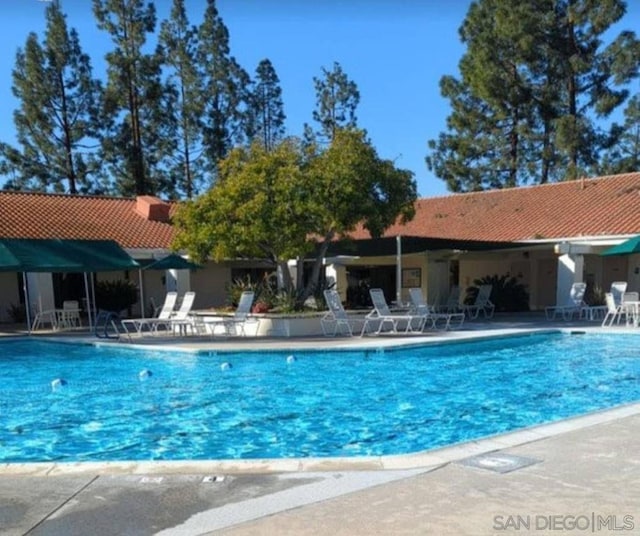 view of pool featuring a patio