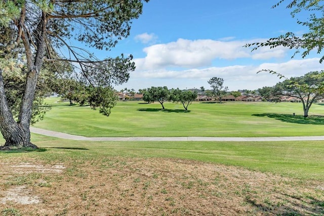 view of property's community with a yard