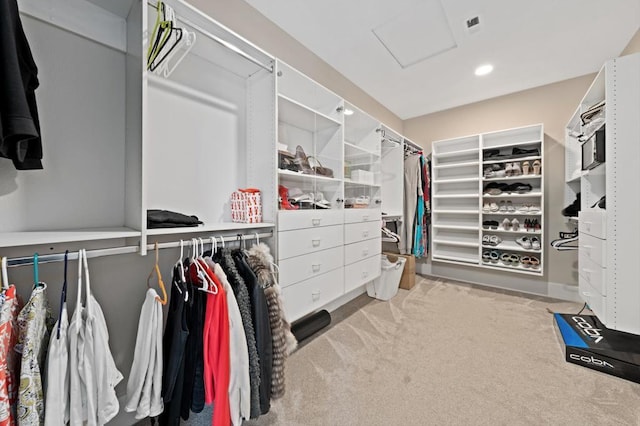 walk in closet with light colored carpet