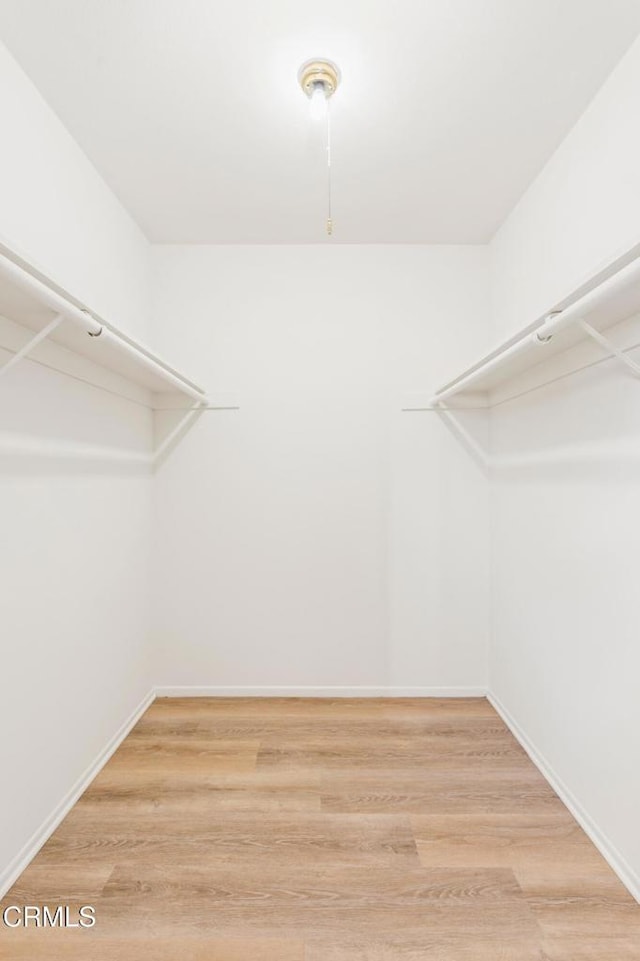 walk in closet featuring wood-type flooring