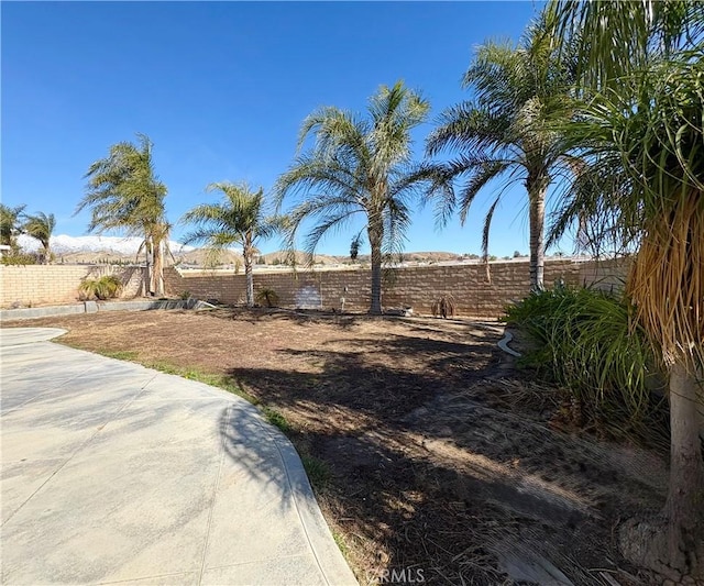 view of yard featuring a fenced backyard and a patio area