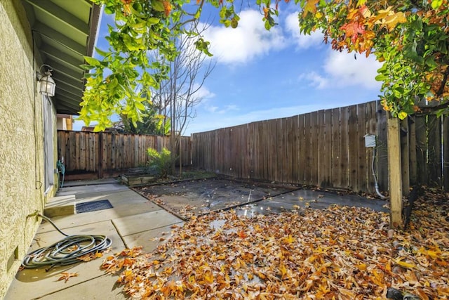 view of yard with a patio