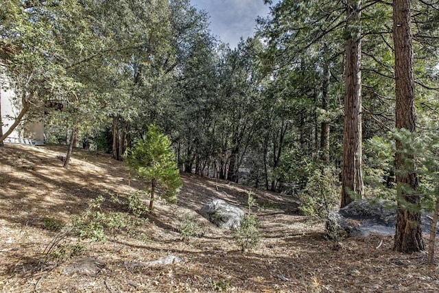 Listing photo 3 for 0 Pine Crest Ave, Idyllwild CA 92549