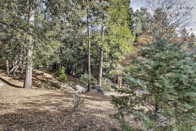 Listing photo 2 for 0 Pine Crest Ave, Idyllwild CA 92549