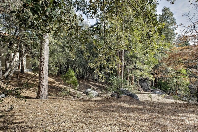 0 Pine Crest Ave, Idyllwild CA, 92549 land for sale