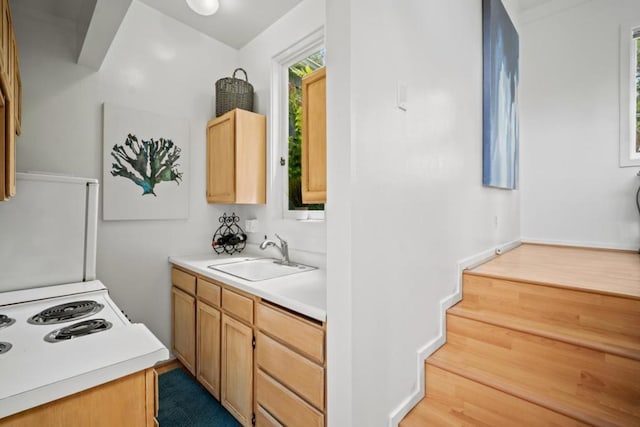 kitchen featuring light brown cabinets and sink