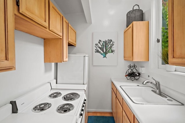 kitchen with light wood-type flooring, white appliances, and sink