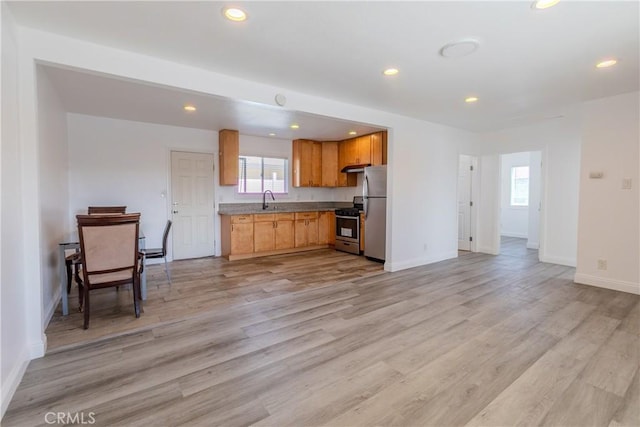 kitchen with stainless steel appliances, light hardwood / wood-style floors, and sink