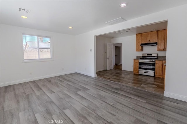 kitchen with stainless steel stove and light hardwood / wood-style flooring