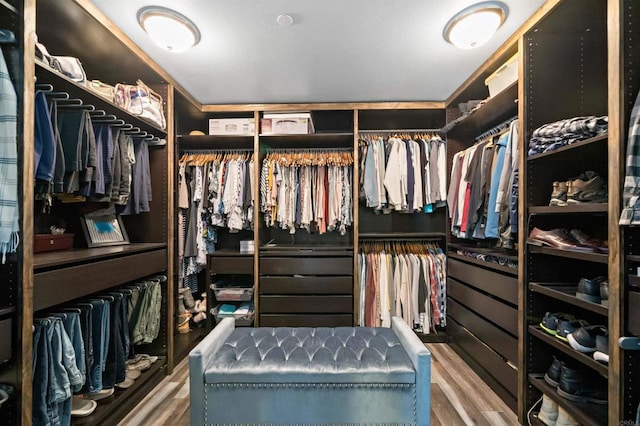 walk in closet featuring hardwood / wood-style flooring