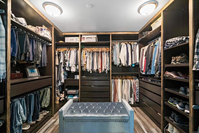 30343 Mahogany St, Murrieta, CA 92563 - walk in closet featuring wood finished floors