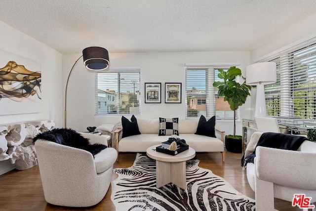 living room featuring a wealth of natural light, wood-type flooring, and a textured ceiling