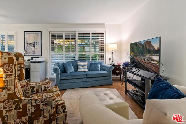 living room featuring hardwood / wood-style floors